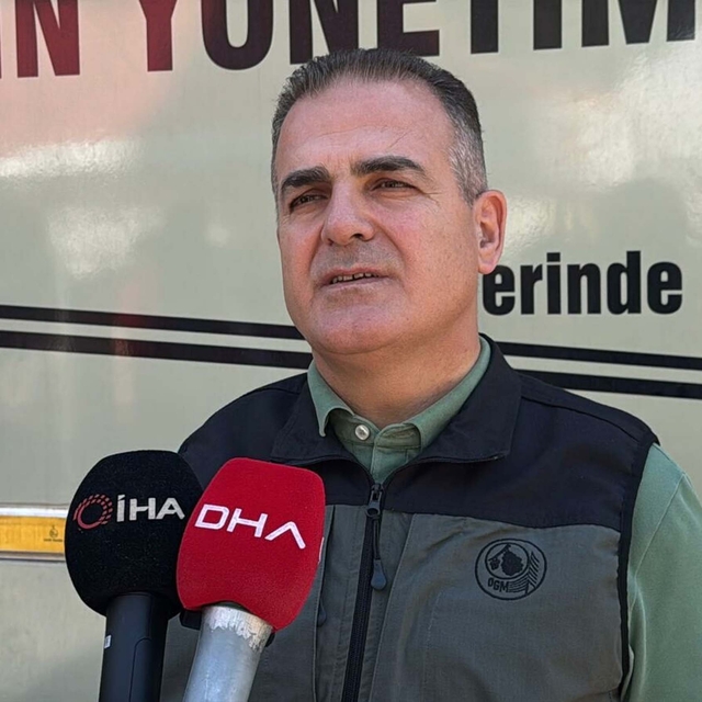 Muğla Köyceğiz'deki orman yangınında 2'nci gün (3)