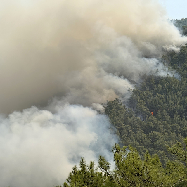 Alanya'daki orman yangınında 3'üncü gün (2)