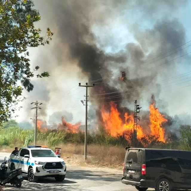 Antalya'da sazlık alanda çıkan yangın söndürüldü
