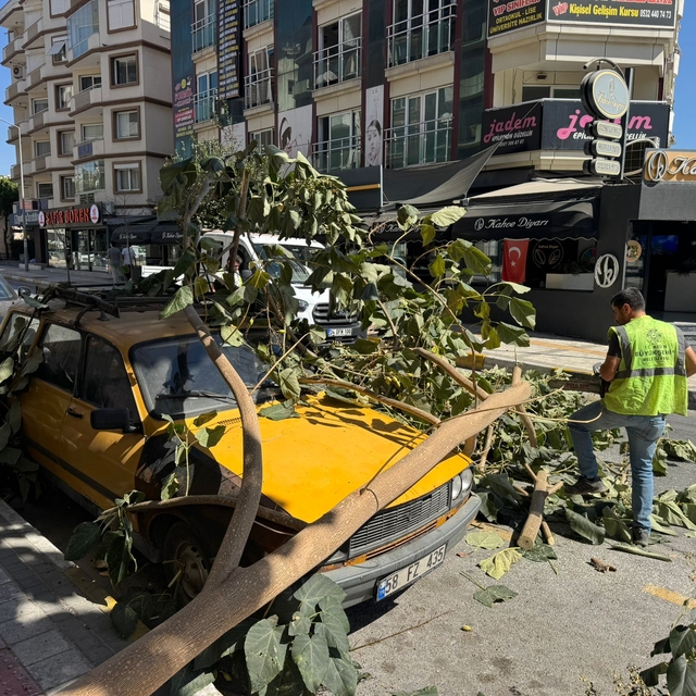 Aydın'da ağaç dalının otomobilin üzerine düşmesi güvenlik kamerasında