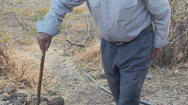Kayıp Alzheimer hastasını arama çalışmaları 4'üncü gününde