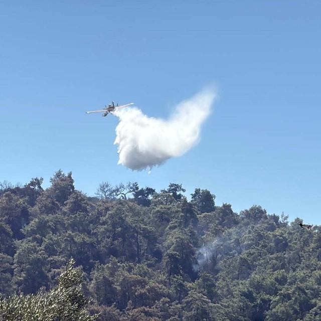 Muğla Milas'taki orman yangınında 2'nci gün (2)