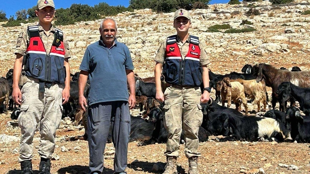 Kilis'te kaybolan küçükbaş hayvanlar jandarma tarafından bulundu