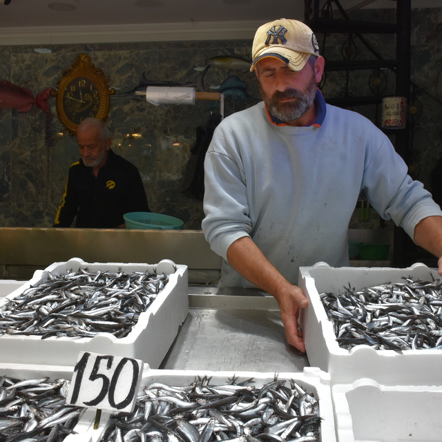 Trabzon'da hamsi ve istavrit 150 liradan satışa sunuluyor