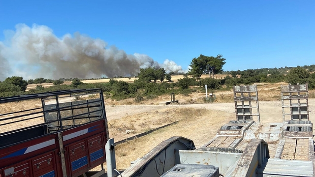 Çanakkale'de orman yangını