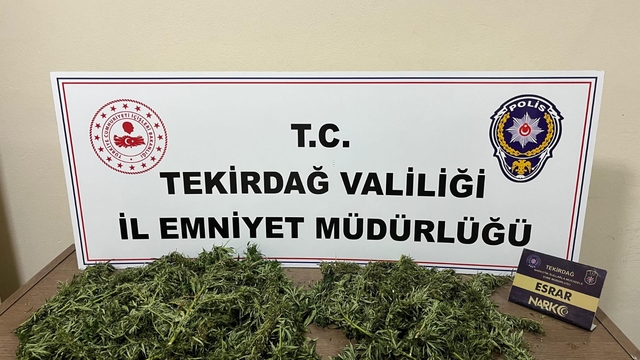 Tekirdağ'da uyuşturucu operasyonunda yakalanan 2 şüpheli tutuklandı
