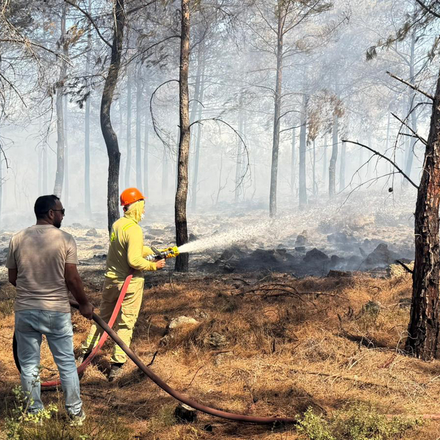 Antalya'da orman yangını, hızlı müdahale ile büyümeden kontrol altına alınd...