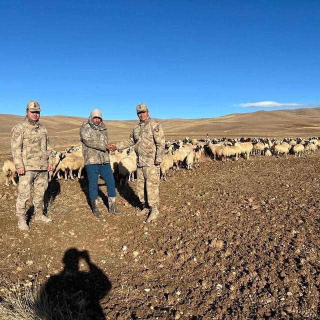 Erzincan'da kaybolan 300 koyun İHA desteği ile bulundu
