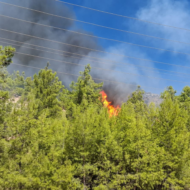 Serik'te orman yangını