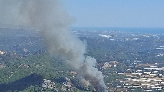 Antalya'da ormanlık alanda yangın çıktı
