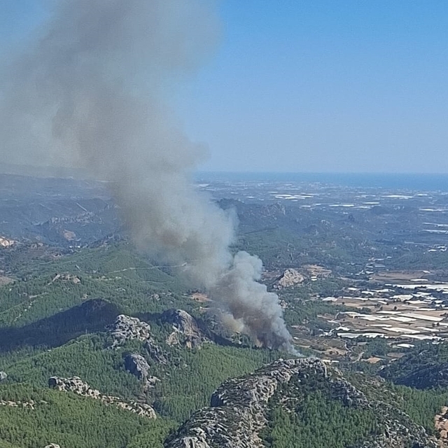 Antalya'da ormanlık alanda yangın çıktı