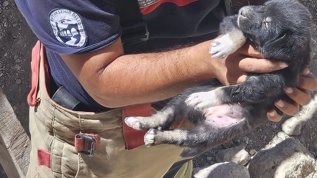 Antakya ilçesinde inşattaki çukura düşen köpek yavrusunu itfaiye ekibi çıkardı