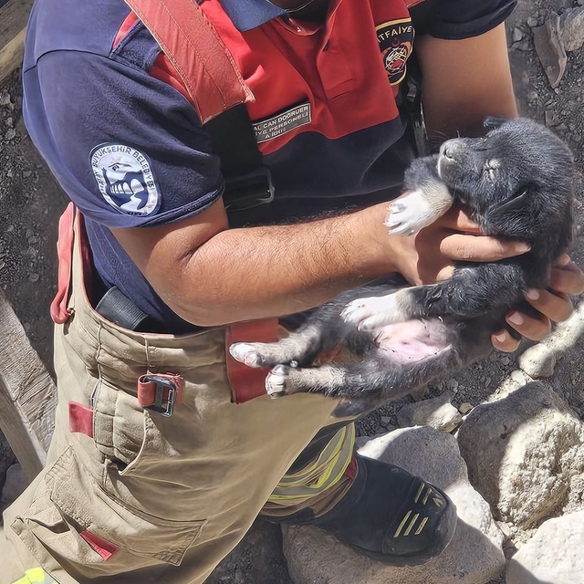 Antakya ilçesinde inşattaki çukura düşen köpek yavrusunu itfaiye ekibi çıka...