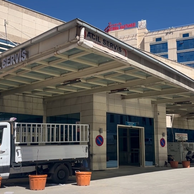 Ceviz toplarken ağaçtan düşüp öldü