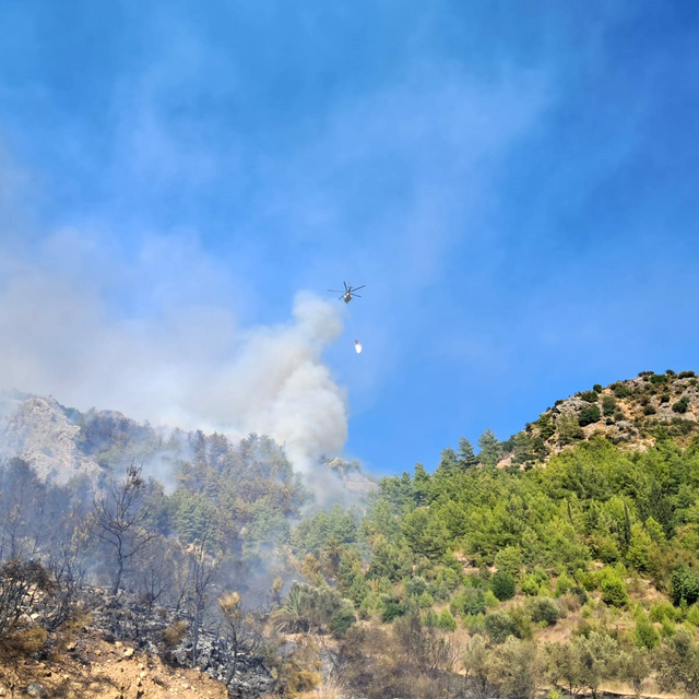 Serik'te orman yangını (2)