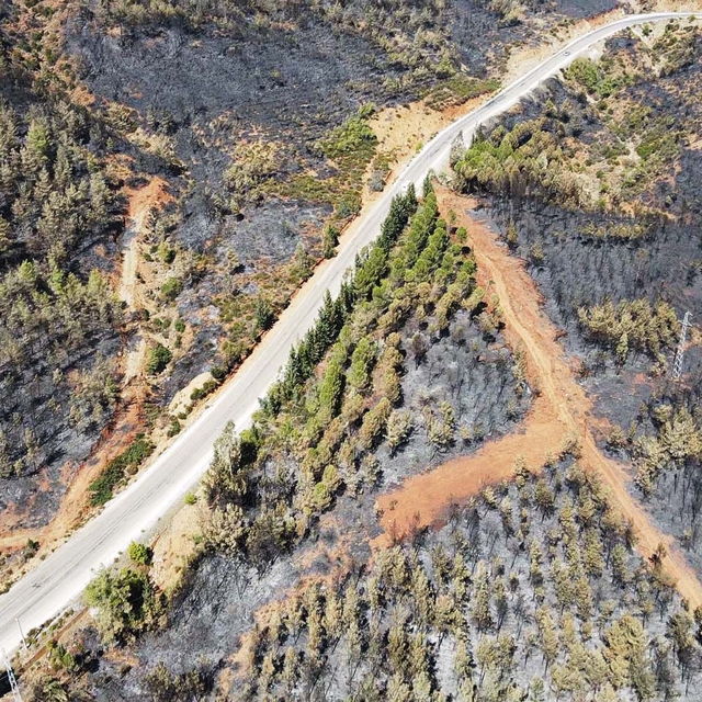 Köyceğiz'de yangından zarar gören alanlar havadan görüntülendi