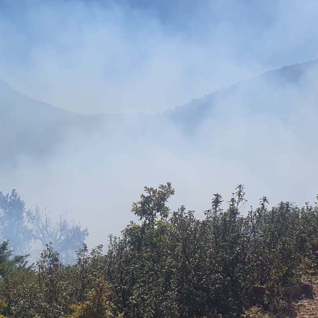Konya'da orman yangını kısa sürede söndürüldü