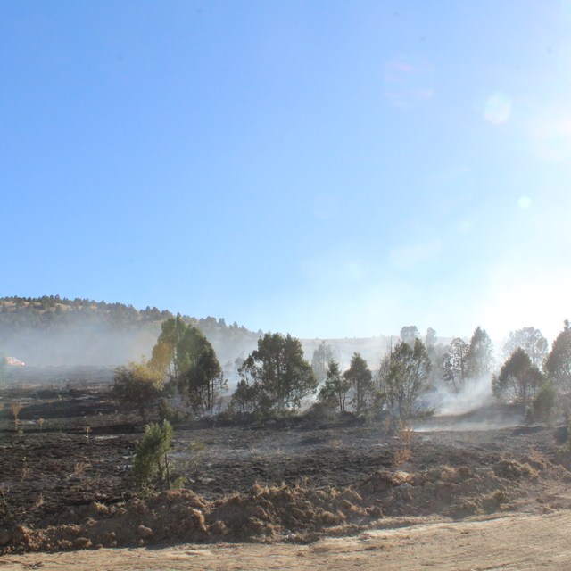 Konya'da çıkan orman yangınında 40 dönüm alan zarar gördü