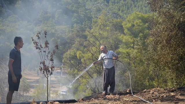 Serik'te orman yangını (3)