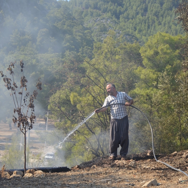 Serik'te orman yangını (3)