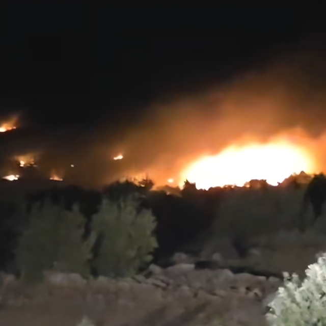 Diyarbakır'daki örtü yangını 2'nci gününde