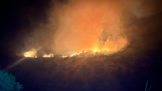 Diyarbakır'daki örtü yangını 2'nci gününde kontrol altında (2)