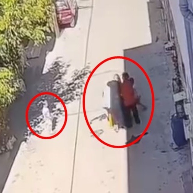 Kucağında çocuğuyla yürüyen anneyi 3 kadının darbettiği anlar kamerada