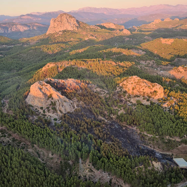 Serik'teki orman yangınına ilişkin 1 gözaltı