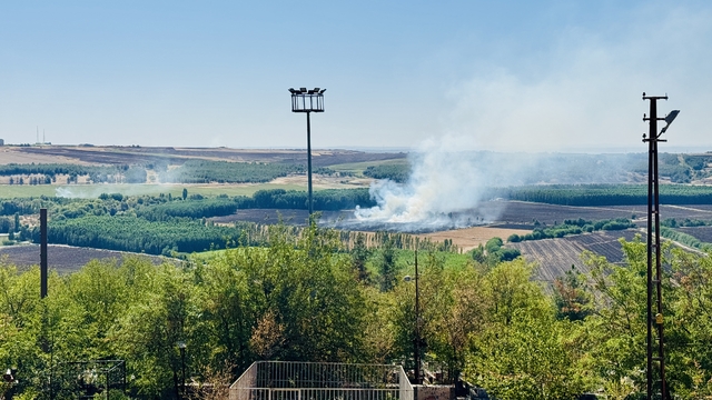 Diyarbakır Hevsel Bahçeleri'nde çıkan anız yangın söndürüldü