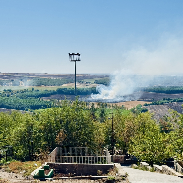 Diyarbakır Hevsel Bahçeleri'nde çıkan anız yangın söndürüldü