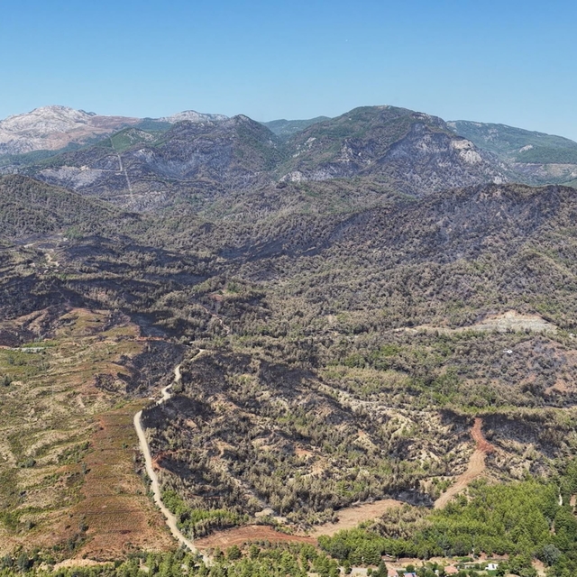 Muğla'da 3 bin hektar ormanın zarar gördüğü yangında yanan alanlar dronla g...