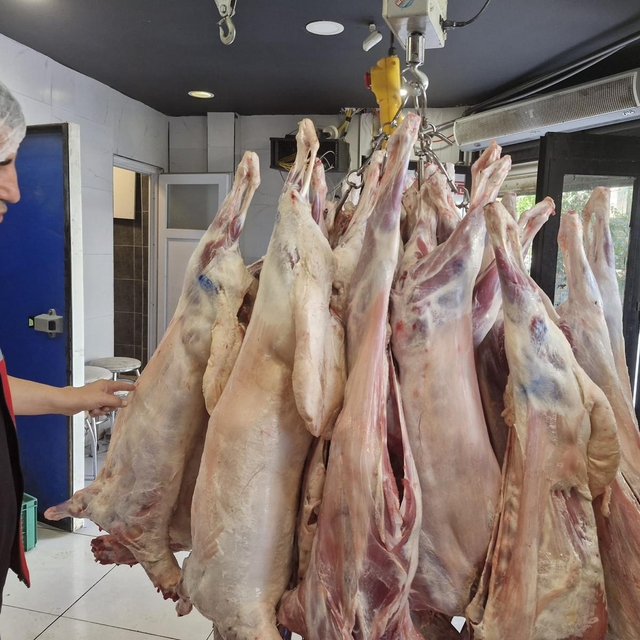 Batman'da kaçak et kesimine yönelik 8 ayda 1344 işletme denetlendi