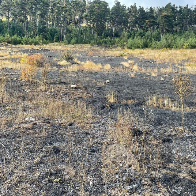 Türkeli'de çıkan örtü yangını söndürüldü