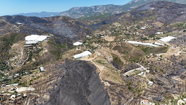 Antalya'daki orman yangınlarında 1350 hektar alan zarar gördü
