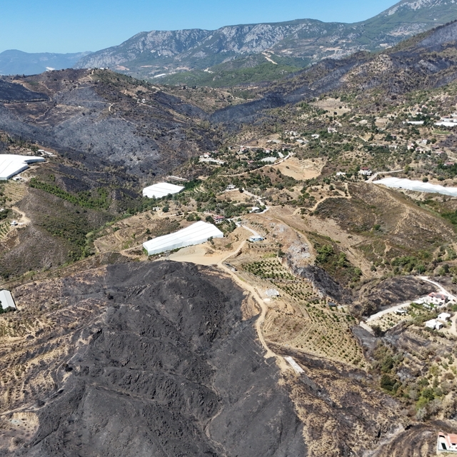 Antalya'daki orman yangınlarında 1350 hektar alan zarar gördü