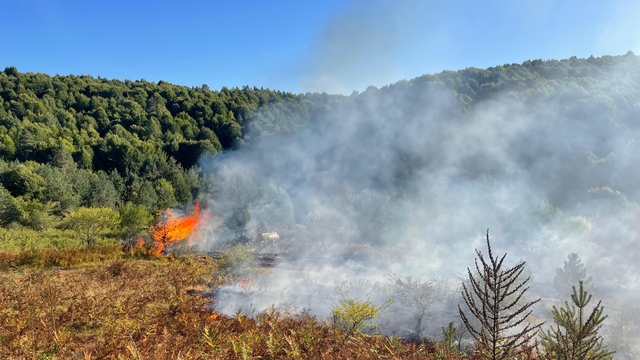 Bilecik'te arazide başlayıp ormanlık alana sıçrayan yangın kontrol altına alındı