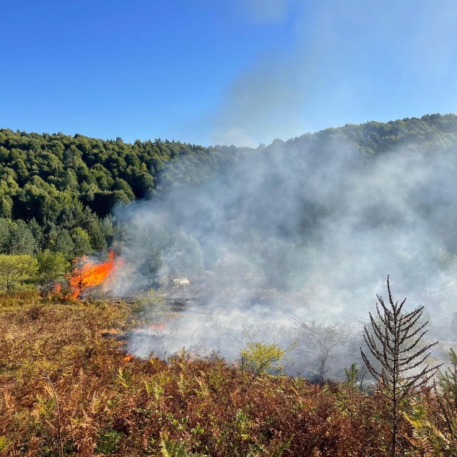 Bilecik'te arazide başlayıp ormanlık alana sıçrayan yangın kontrol altına a...