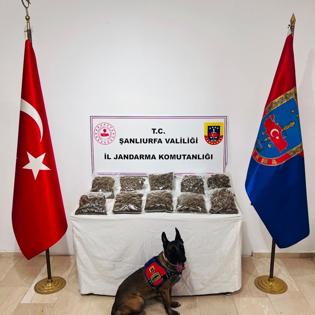 Şanlıurfa'da uyuşturucu operasyonunda 6 zanlı tutuklandı