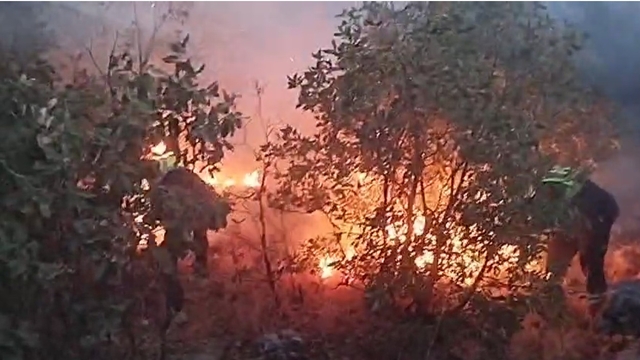Diyarbakır'daki örtü yangını 2'nci gününde kontrol altında (3)