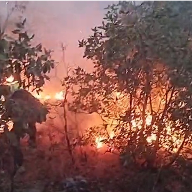 Diyarbakır'daki örtü yangını 2'nci gününde kontrol altında (3)