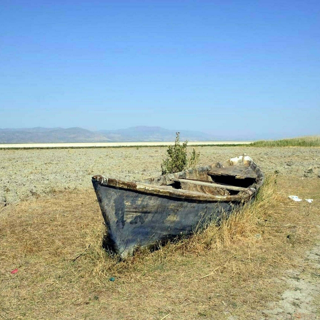 Prof. Dr. Şimşek: 240 gölden 186'sı kurudu