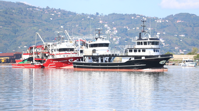 Ordu'da balıkçılar limana kasalar dolusu hamsiyle döndü