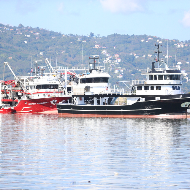 Ordu'da balıkçılar limana kasalar dolusu hamsiyle döndü