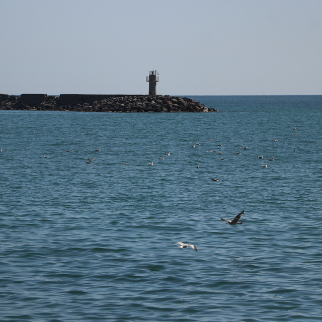 Tekirdağ'da poyraz nedeniyle deniz ulaşımı 2 gündür aksıyor