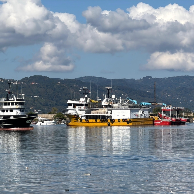 Hava şartları normale döndü, denize açılan balıkçılar bol miktarda hamsiyle...