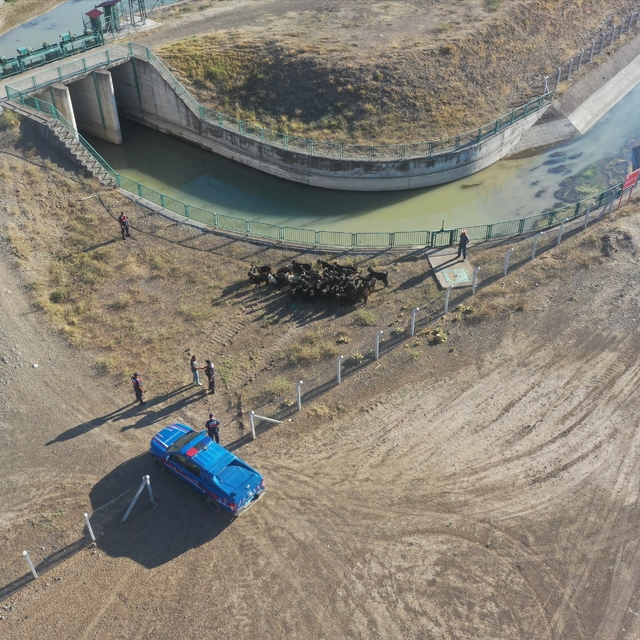 Burdur'da kaybolan 41 keçi jandarma dronuyla bulundu