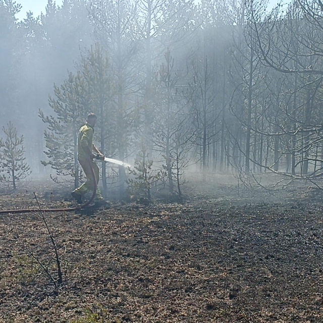 Kastamonu'da orman yangınında 10 dönüm alan zarar gördü
