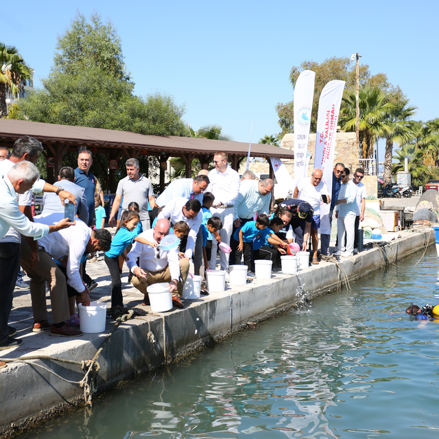 Muğla'da 160 bin balık yavrusu denize bırakıldı