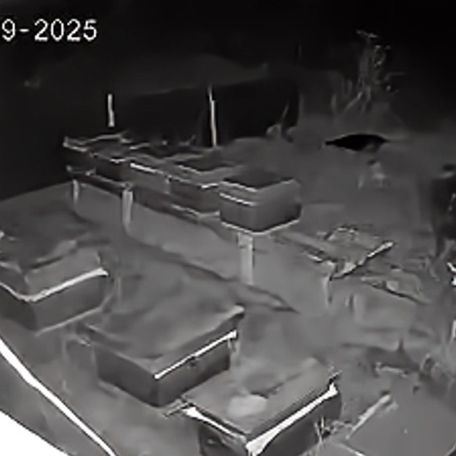 Arıcıların 4 kovan balını yiyen bozayı kamerada