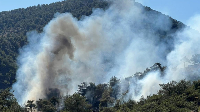 Gaziantep'te orman yangını 1,5 saatte söndürüldü
